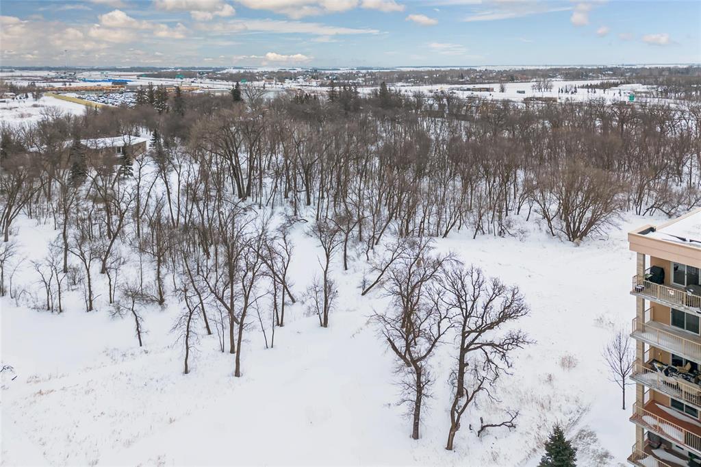 405 110 Creek Bend Road, Winnipeg, Manitoba  R2N 0H3 - Photo 38 - 202602026