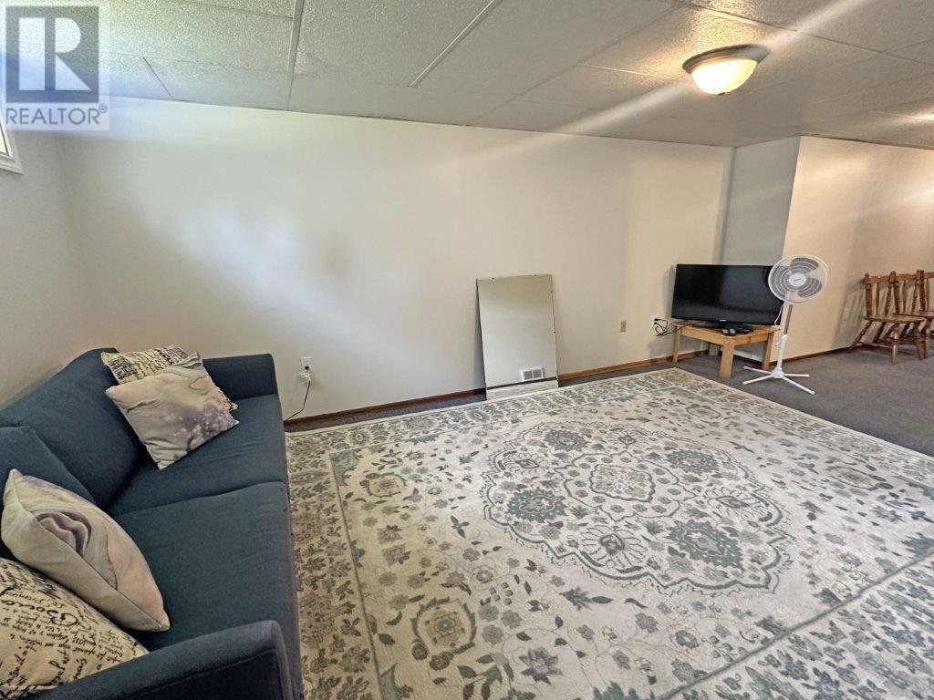 109 Mckirdy Ave, Nipigon, Ontario  P0T 2J0 - Photo 32 - TB2600157