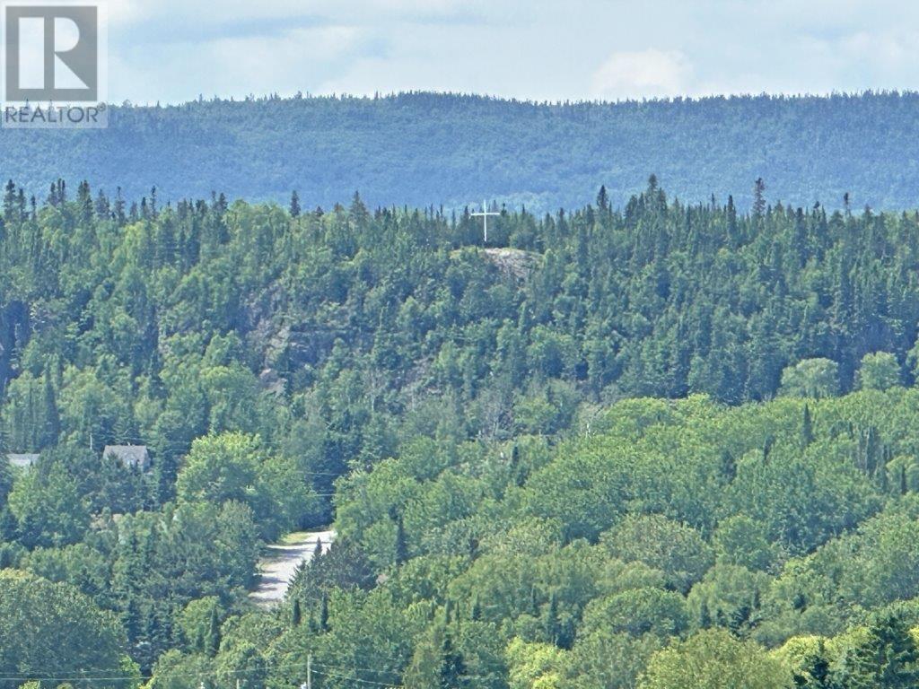 109 Mckirdy Ave, Nipigon, Ontario  P0T 2J0 - Photo 49 - TB2600157