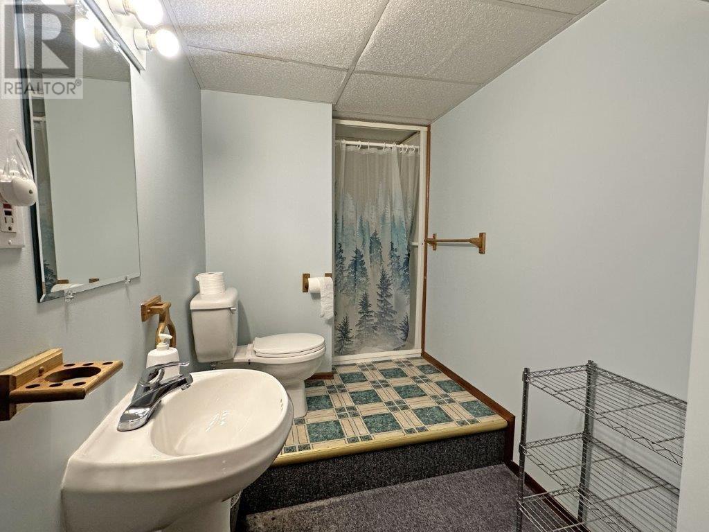 109 Mckirdy Ave, Nipigon, Ontario  P0T 2J0 - Photo 33 - TB2600157