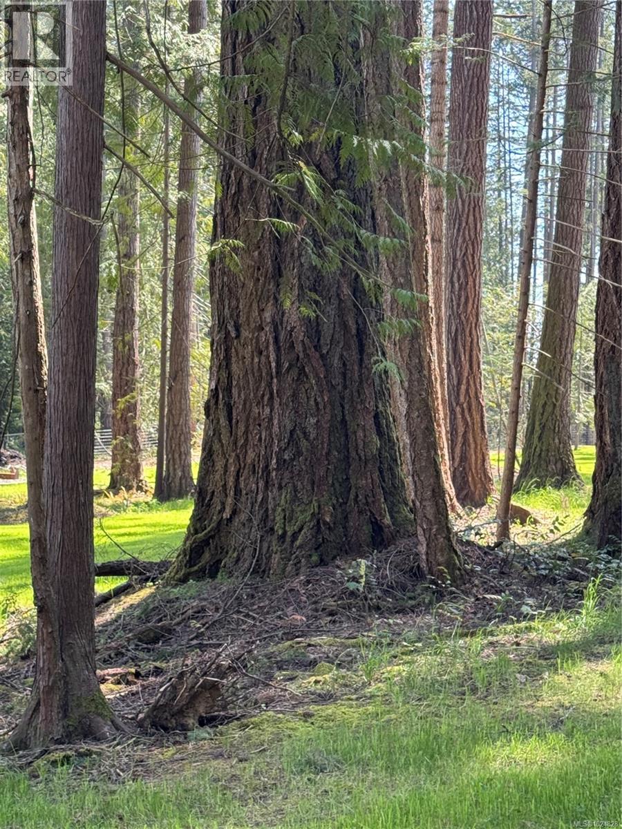 0 Trans Canada Hwy, Mill Bay, British Columbia  V0R 2P3 - Photo 15 - 1024828