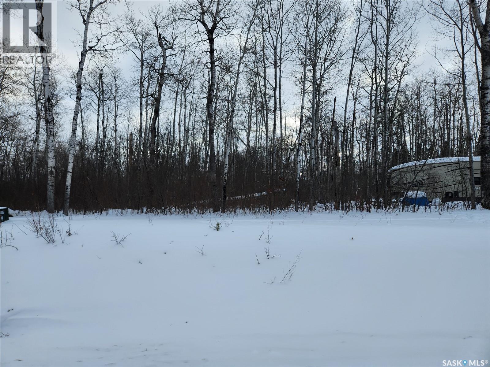 1 Smits Avenue, Nipawin Rm No. 487, Saskatchewan  S0E 0P0 - Photo 3 - SK027891