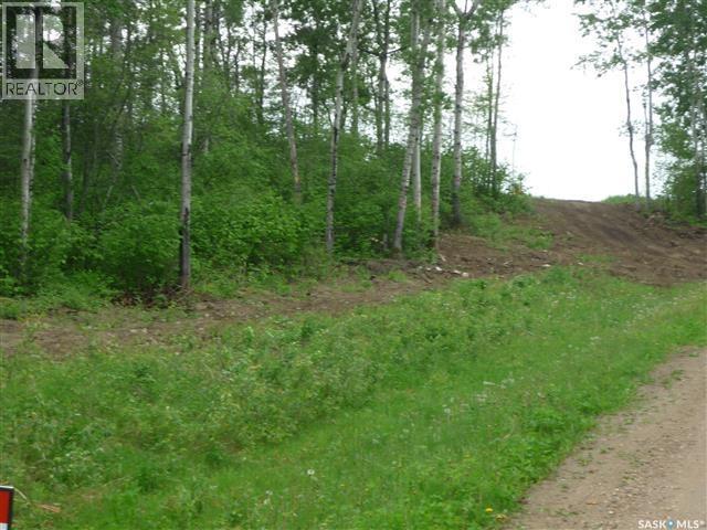 1 Smits Avenue, Nipawin Rm No. 487, Saskatchewan  S0E 0P0 - Photo 9 - SK027891