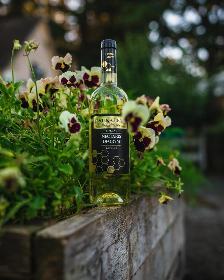 21113 16 Avenue, Langley, British Columbia  V2Z 1K3 - Photo 12 - C8075809