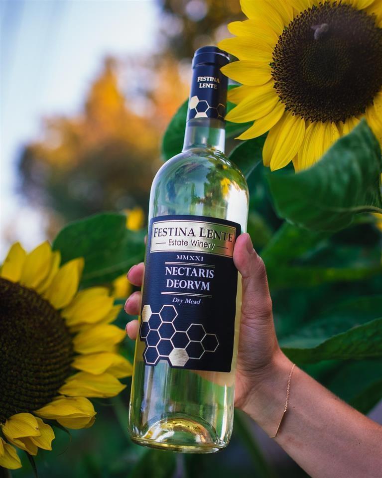 21113 16 Avenue, Langley, British Columbia  V2Z 1K3 - Photo 11 - C8075809