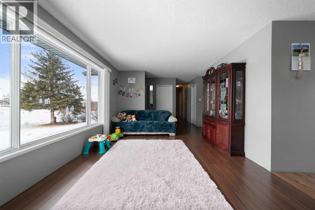 4723 52 Street, Lougheed, Alberta  T0B 2V0 - Photo 8 - A2283208