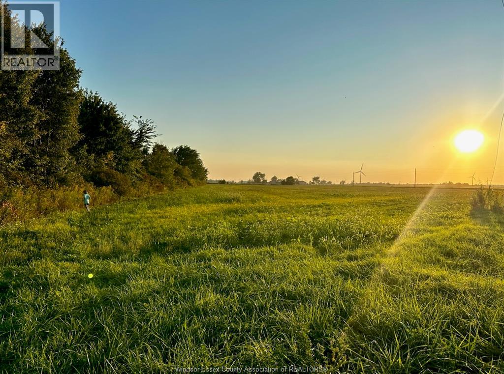 V/l Gray Line, Merlin, Ontario N0P 1W0 - Photo 11 - 26002354