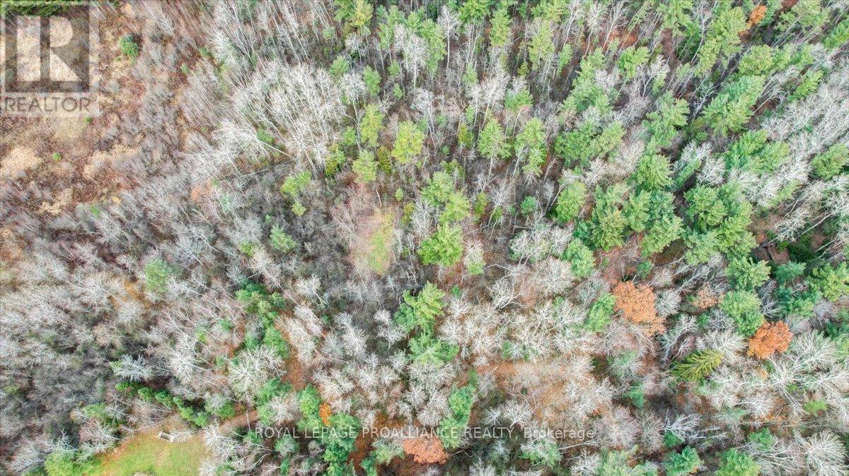 001 Lot 2 Conc 7, Port Hope, Ontario  L0A 1B0 - Photo 20 - X12422167