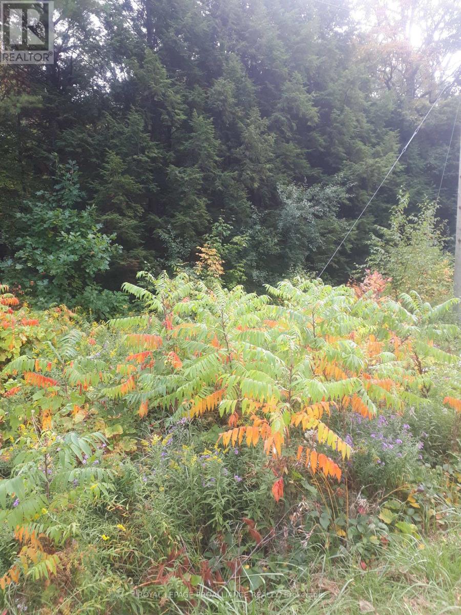 001 Lot 2 Conc 7, Port Hope, Ontario  L0A 1B0 - Photo 5 - X12422167