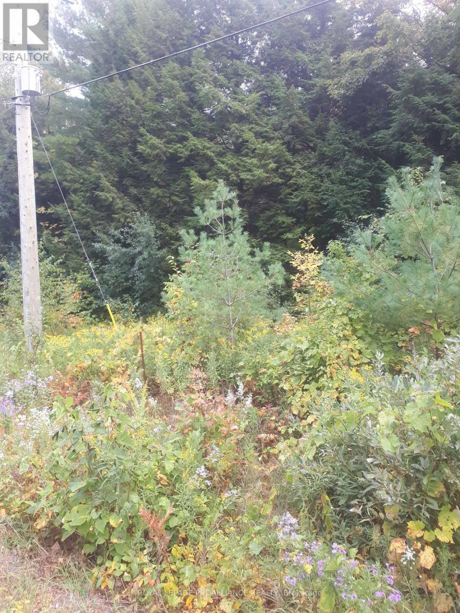 001 Lot 2 Conc 7, Port Hope, Ontario  L0A 1B0 - Photo 3 - X12422167