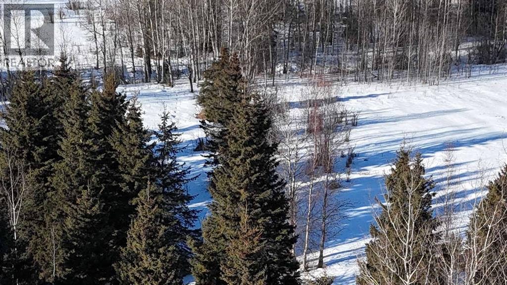 Hwy 20 Junction 13, Hwy 20 Highway, Winfield, Alberta  T0C 2X0 - Photo 18 - A2257694