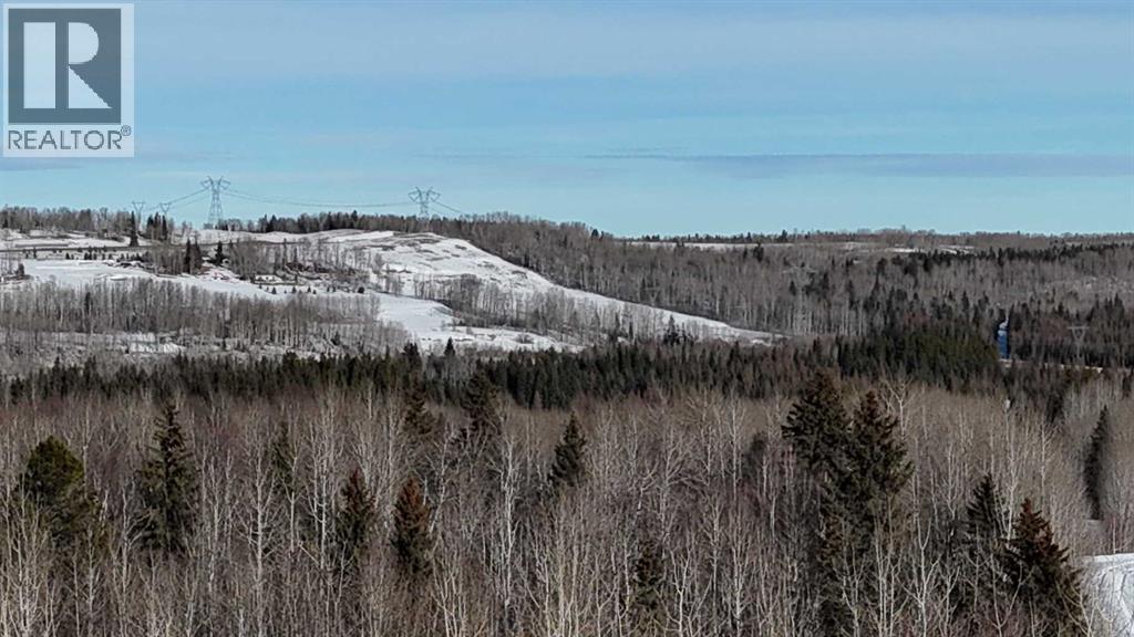 Hwy 20 Junction 13, Hwy 20 Highway, Winfield, Alberta  T0C 2X0 - Photo 22 - A2257694