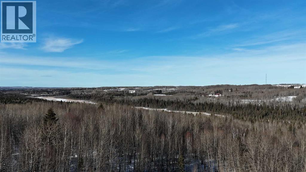 Hwy 20 Junction 13, Hwy 20 Highway, Winfield, Alberta  T0C 2X0 - Photo 10 - A2257694