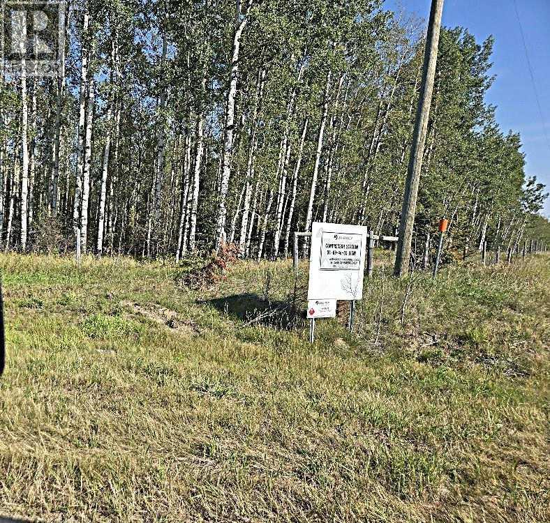 Hwy 20 Junction 13, Hwy 20 Highway, Winfield, Alberta  T0C 2X0 - Photo 6 - A2257694