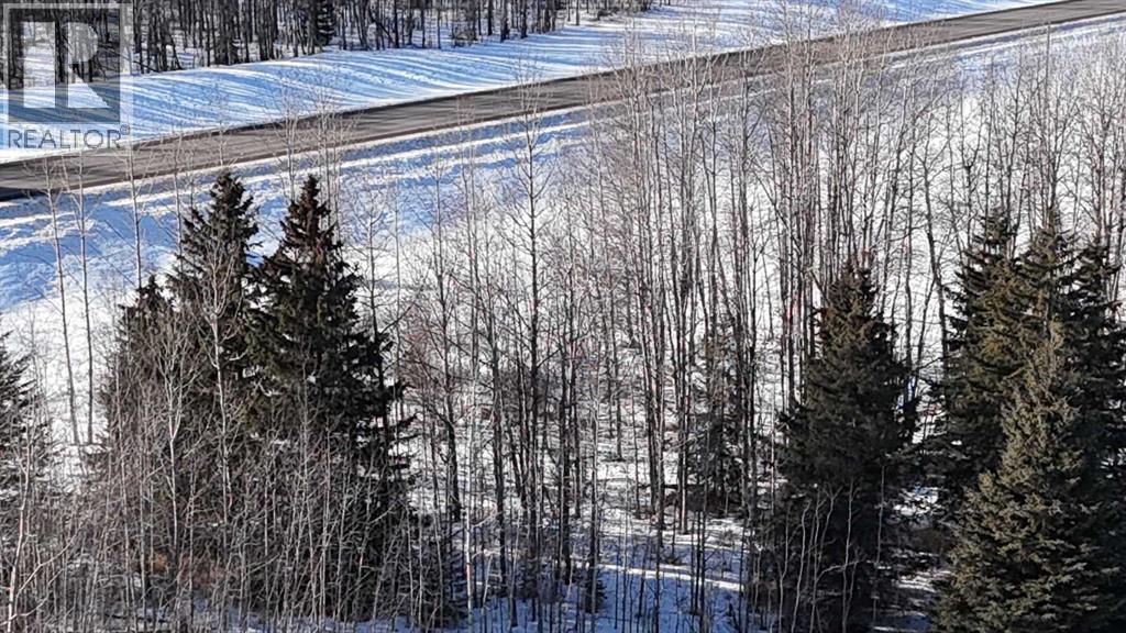 Hwy 20 Junction 13, Hwy 20 Highway, Winfield, Alberta  T0C 2X0 - Photo 13 - A2257694