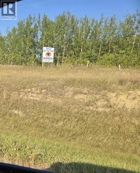 Hwy 20 Junction 13, Hwy 20 Highway, Winfield, Alberta  T0C 2X0 - Photo 4 - A2257694