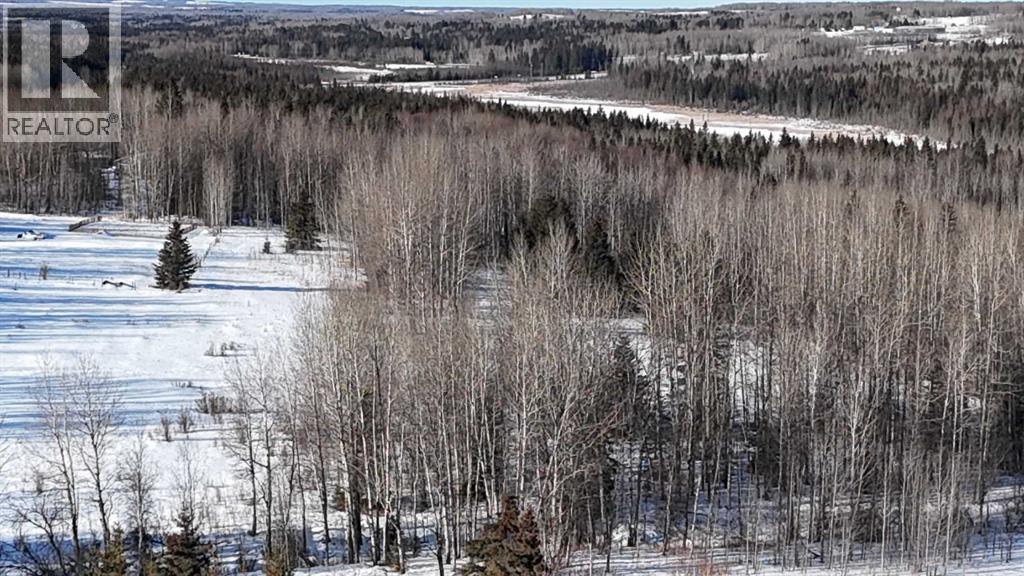 Hwy 20 Junction 13, Hwy 20 Highway, Winfield, Alberta  T0C 2X0 - Photo 15 - A2257694