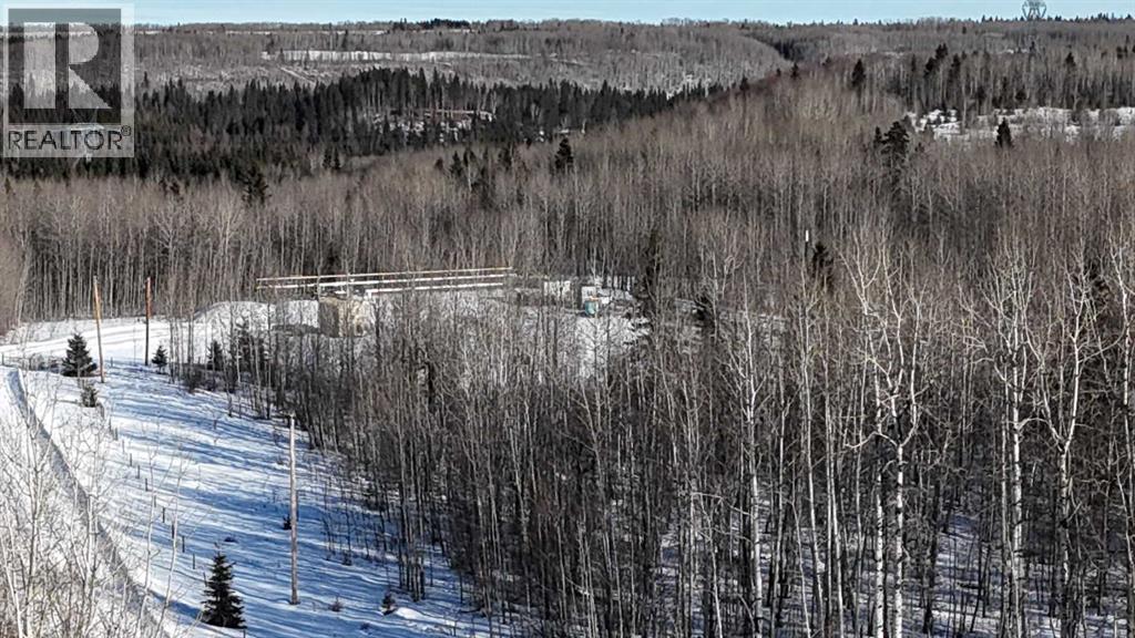 Hwy 20 Junction 13, Hwy 20 Highway, Winfield, Alberta  T0C 2X0 - Photo 23 - A2257694