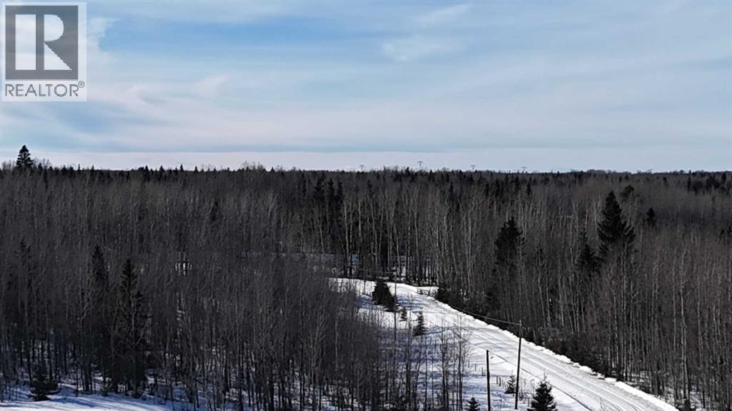 Hwy 20 Junction 13, Hwy 20 Highway, Winfield, Alberta  T0C 2X0 - Photo 29 - A2257694