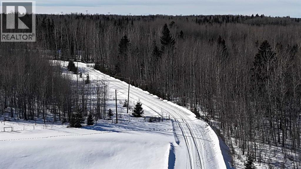 Hwy 20 Junction 13, Hwy 20 Highway, Winfield, Alberta  T0C 2X0 - Photo 28 - A2257694