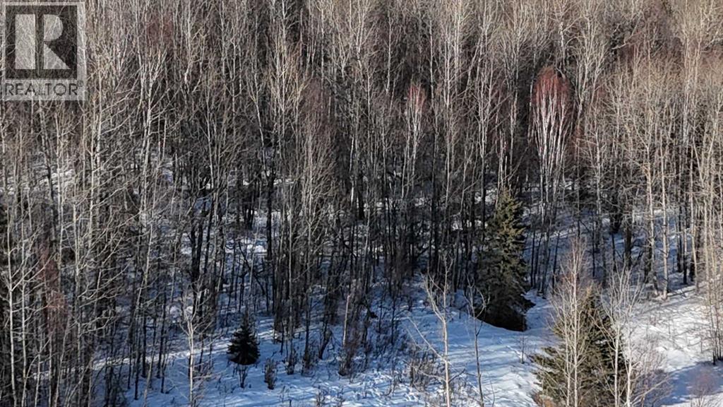 Hwy 20 Junction 13, Hwy 20 Highway, Winfield, Alberta  T0C 2X0 - Photo 32 - A2257694