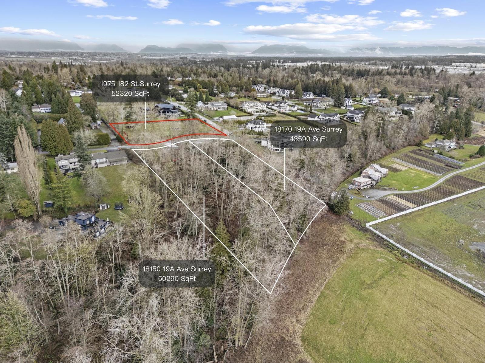 1975 182 Street, Surrey, British Columbia  V3Z 9V9 - Photo 3 - R3083761