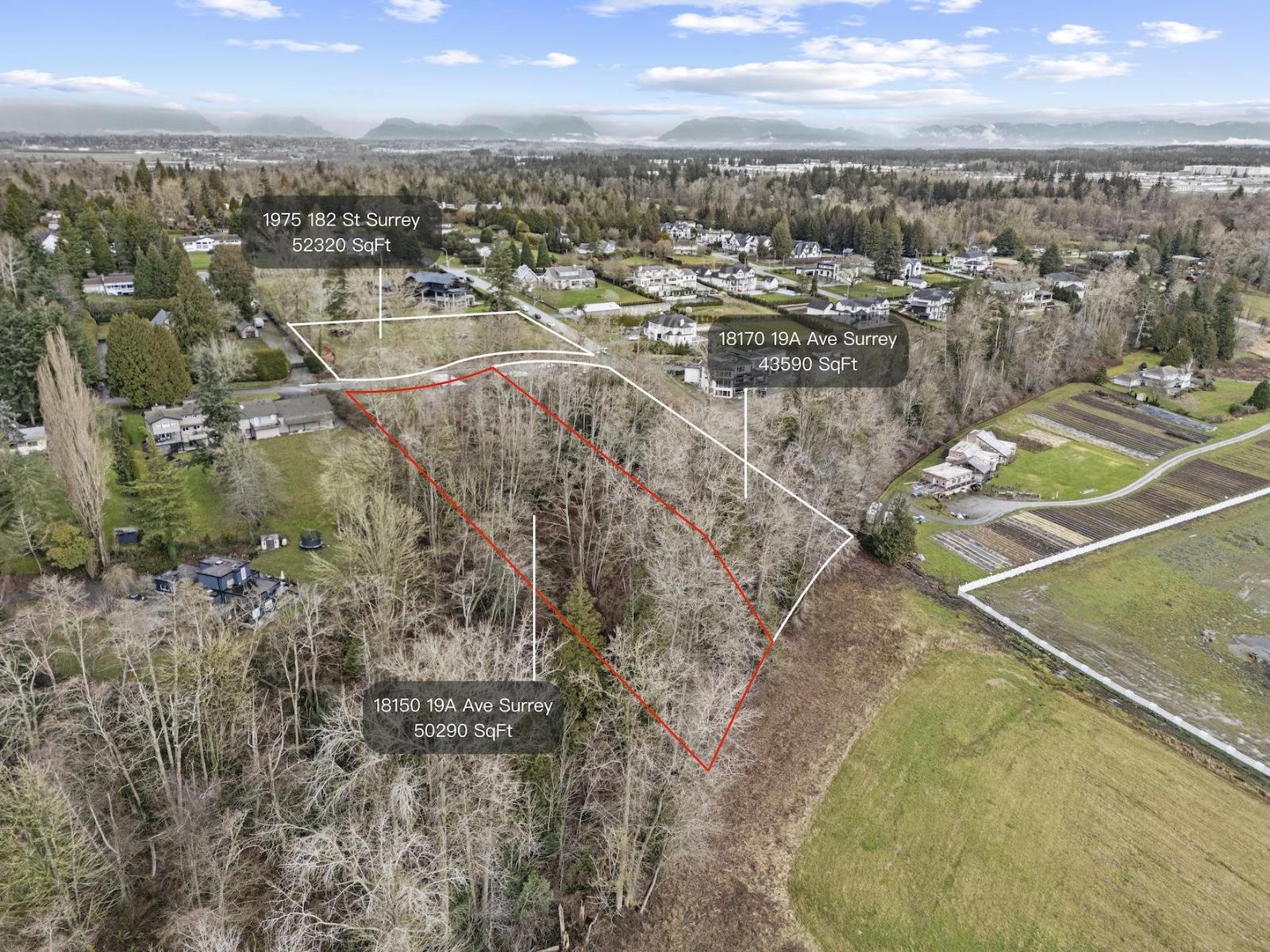 18150 19a Avenue, Surrey, British Columbia  V3Z 9V9 - Photo 3 - R3083754