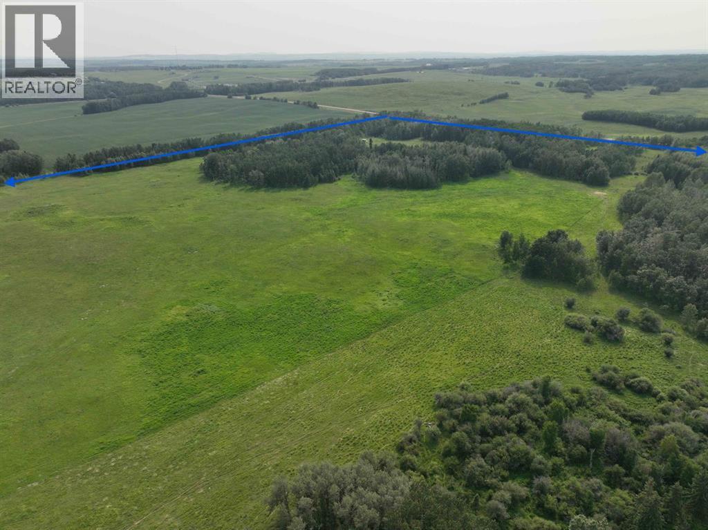 On Highway 771, Rural Ponoka County, Alberta  T0C 2J0 - Photo 5 - A2283063