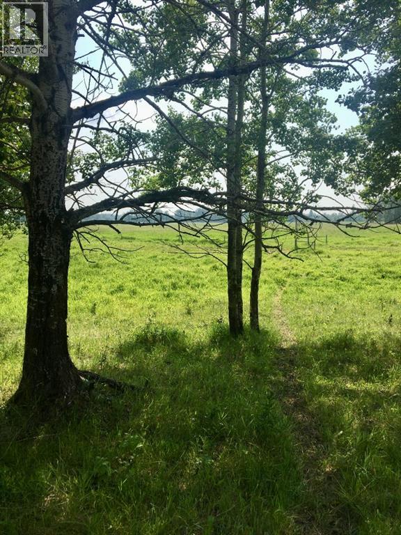 On Highway 771, Rural Ponoka County, Alberta  T0C 2J0 - Photo 8 - A2283063