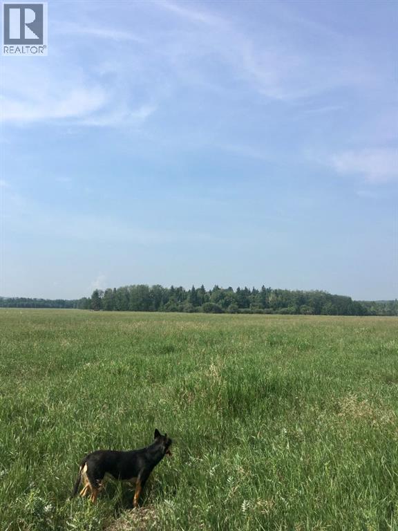 On Highway 771, Rural Ponoka County, Alberta  T0C 2J0 - Photo 10 - A2283063