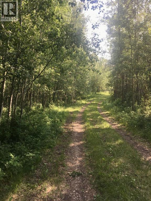 On Highway 771, Rural Ponoka County, Alberta  T0C 2J0 - Photo 6 - A2283063