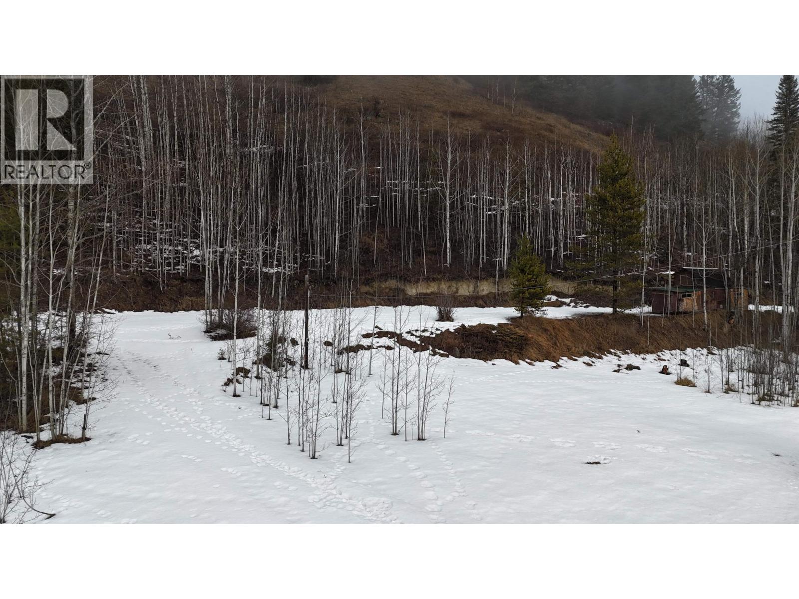 4468 Canim-Hendrix Lake Road, Forest Grove, British Columbia  V0K 1G0 - Photo 4 - R3085682