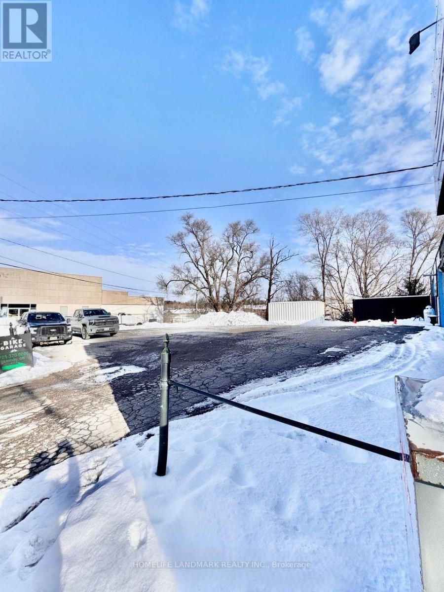 66 William Street N, Kawartha Lakes (Lindsay), Ontario  K9V 4A2 - Photo 3 - X12755538