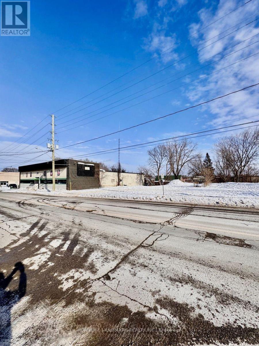 66 William Street N, Kawartha Lakes (Lindsay), Ontario  K9V 4A2 - Photo 4 - X12755538