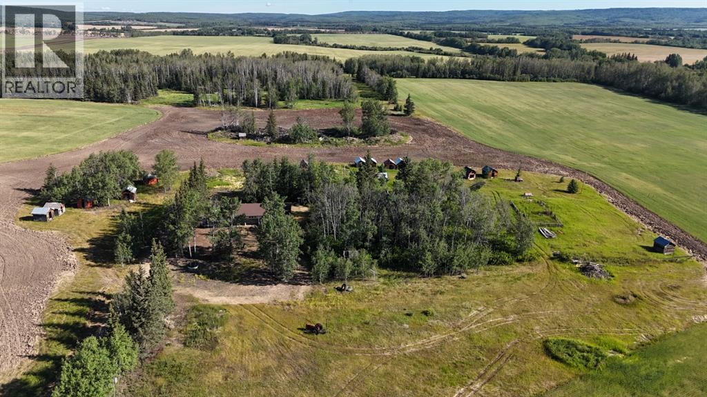 51020 Twp Road 862.5, Rural Clear Hills County, Alberta  T0H 1K0 - Photo 22 - A2243467
