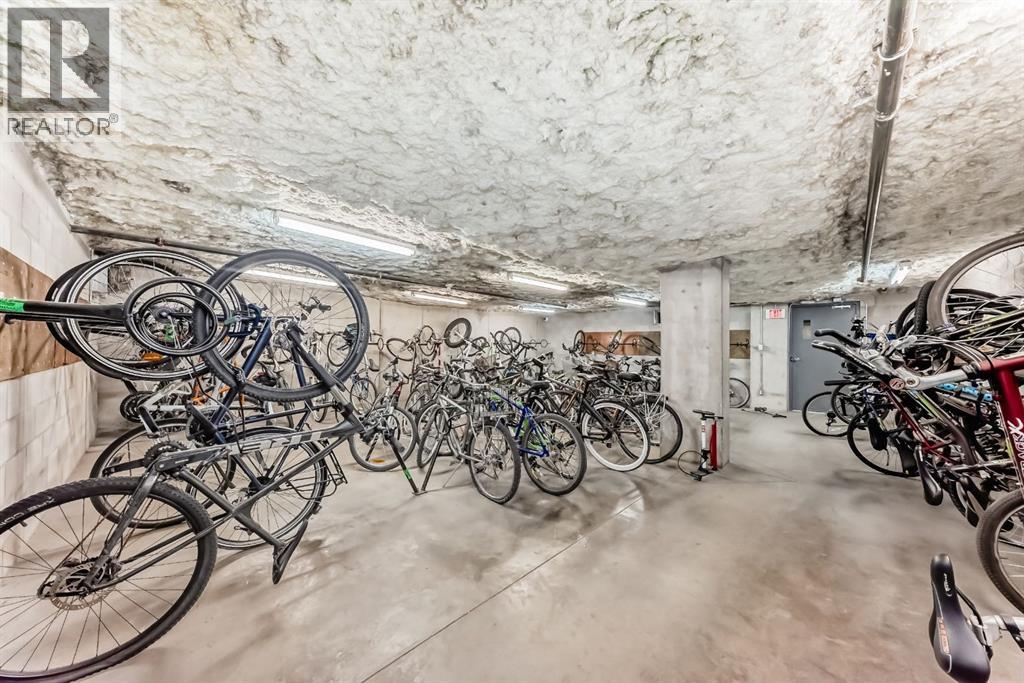 318, 25 Richard Place Sw, Calgary, Alberta  T3E 7N1 - Photo 29 - A2282235