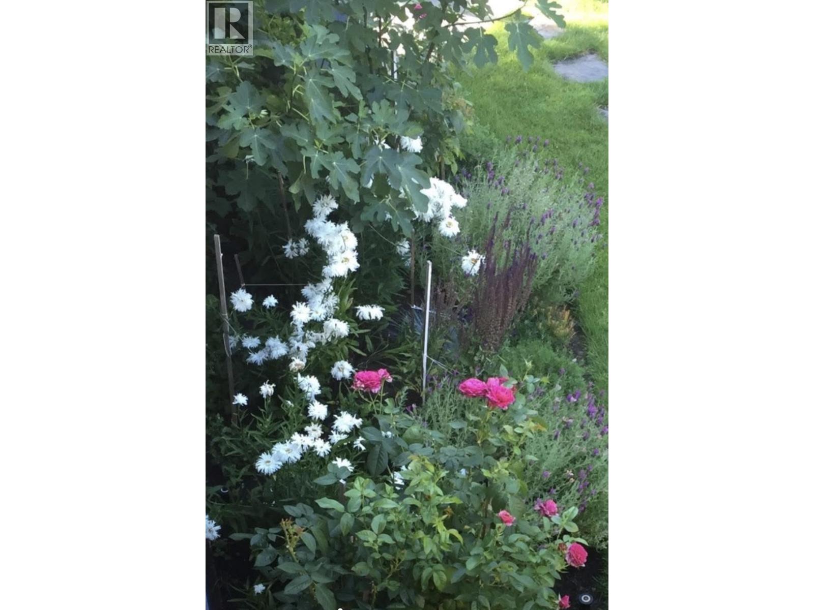 349 E 24th Street, North Vancouver, British Columbia  V7L 3E9 - Photo 34 - R3086337