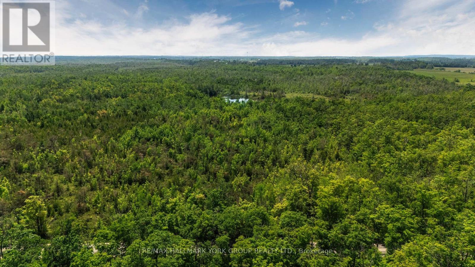 600 14th Line South, Oro-Medonte, Ontario  L3V 6H1 - Photo 5 - S12755740