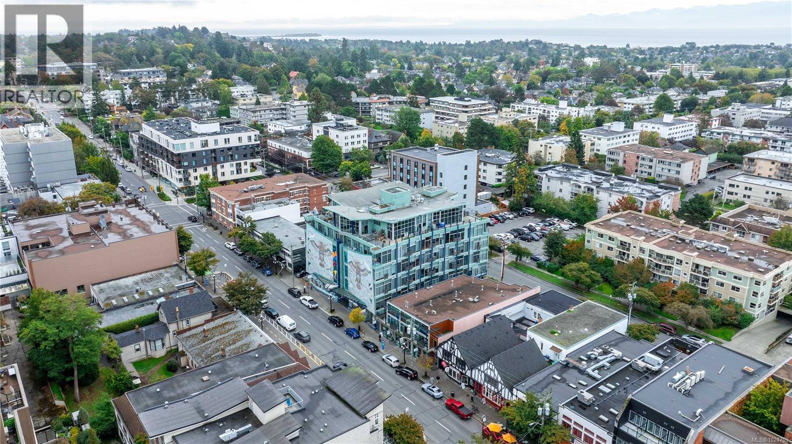 512 1061 Fort St, Victoria, British Columbia  V8V 3K9 - Photo 41 - 1024709