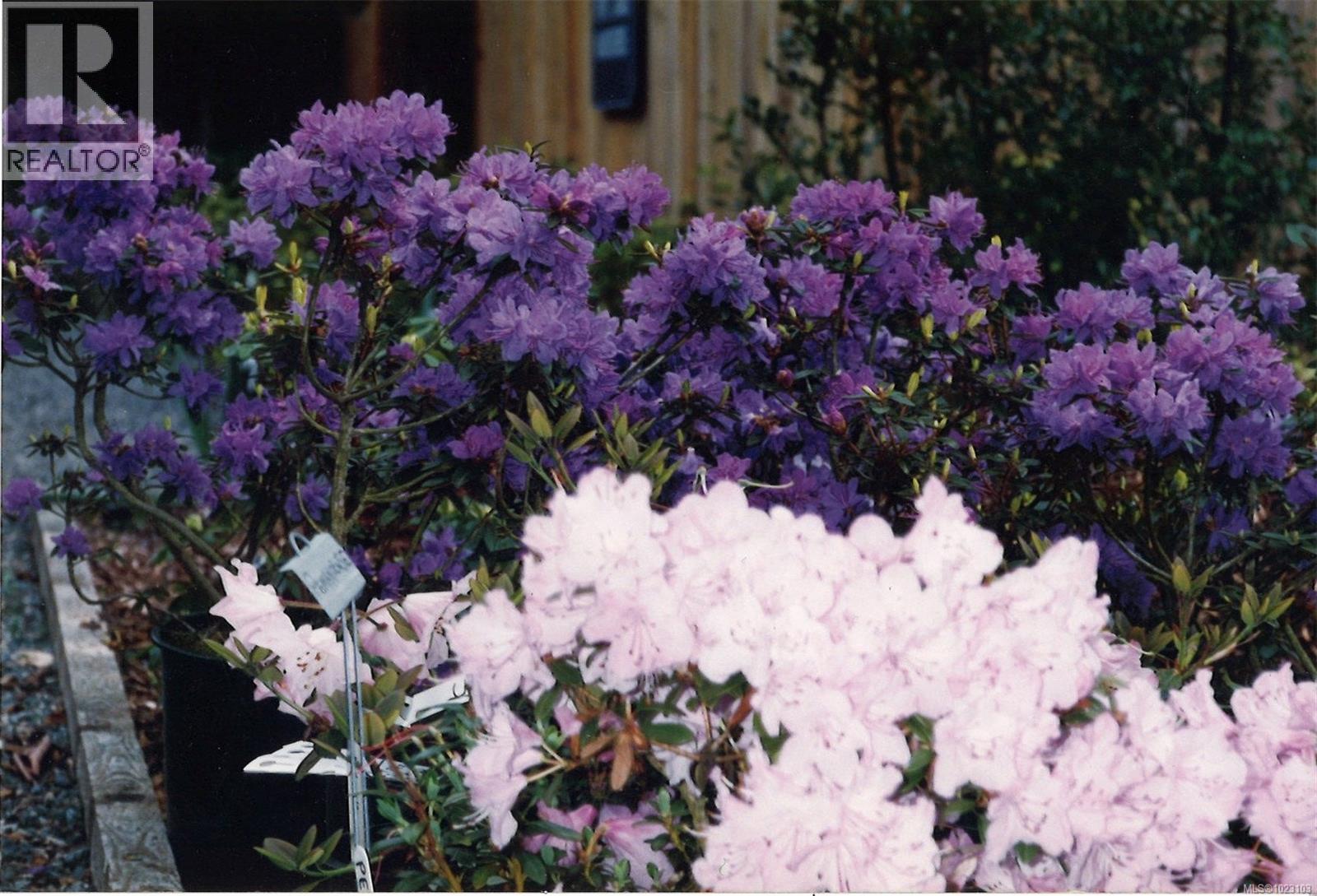 6650 Green Acres Way, Nanaimo, British Columbia  V9T 5R9 - Photo 19 - 1023103