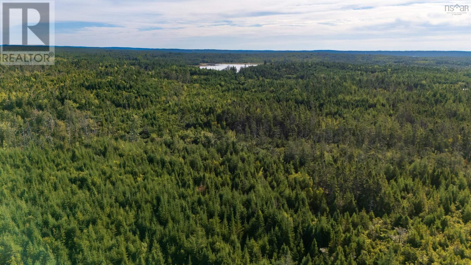 Lots Pettipas Lane, East Chezzetcook, Nova Scotia  B0J 2L0 - Photo 4 - 202528221