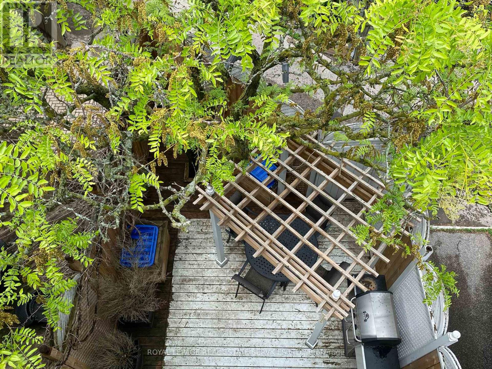 66 Alcorn Avenue, Toronto, Ontario  M4V 1E4 - Photo 27 - C12755990