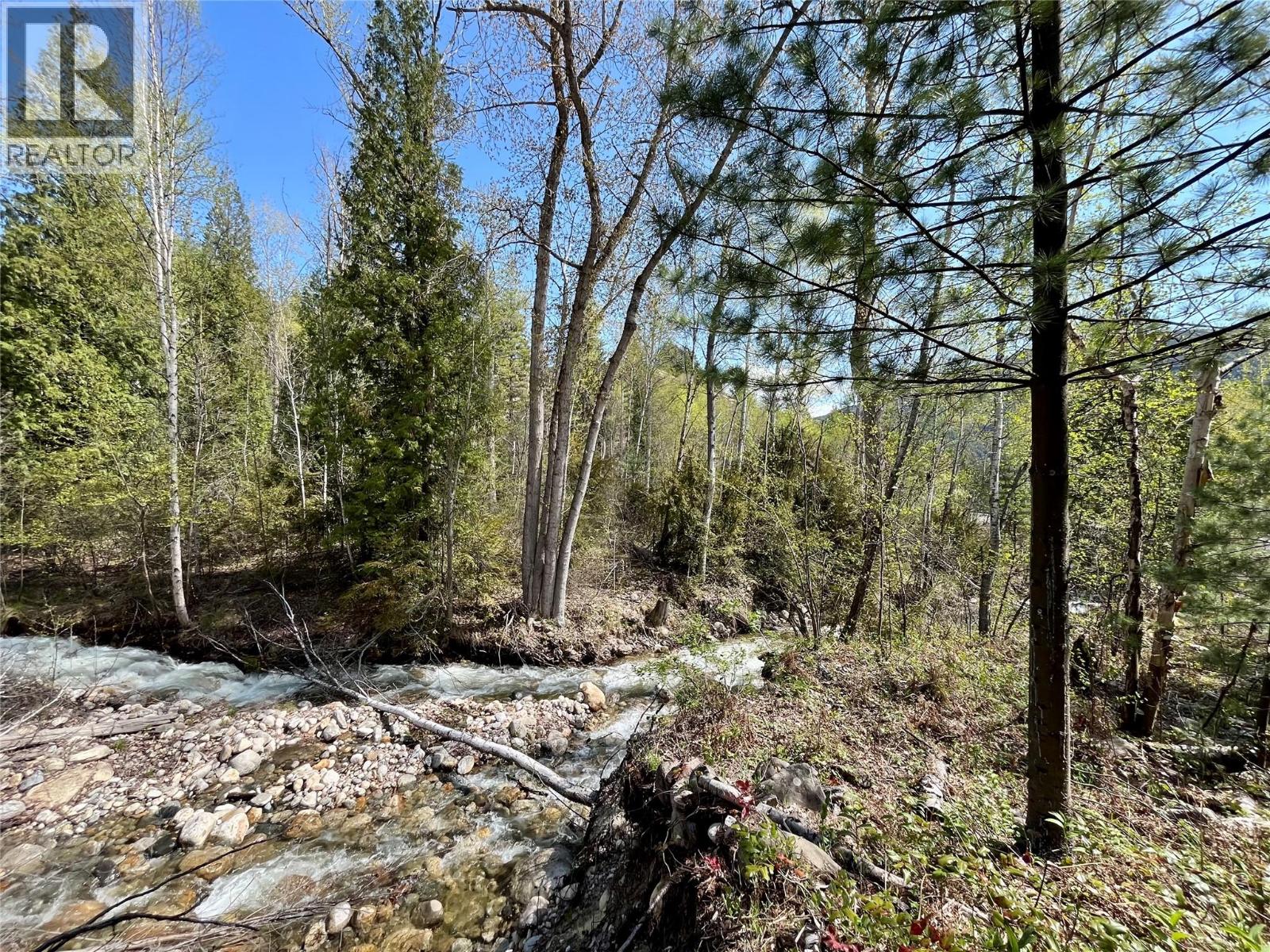 9100 Highway 22 Highway, Genelle, British Columbia  V0G 1G0 - Photo 9 - 10374759