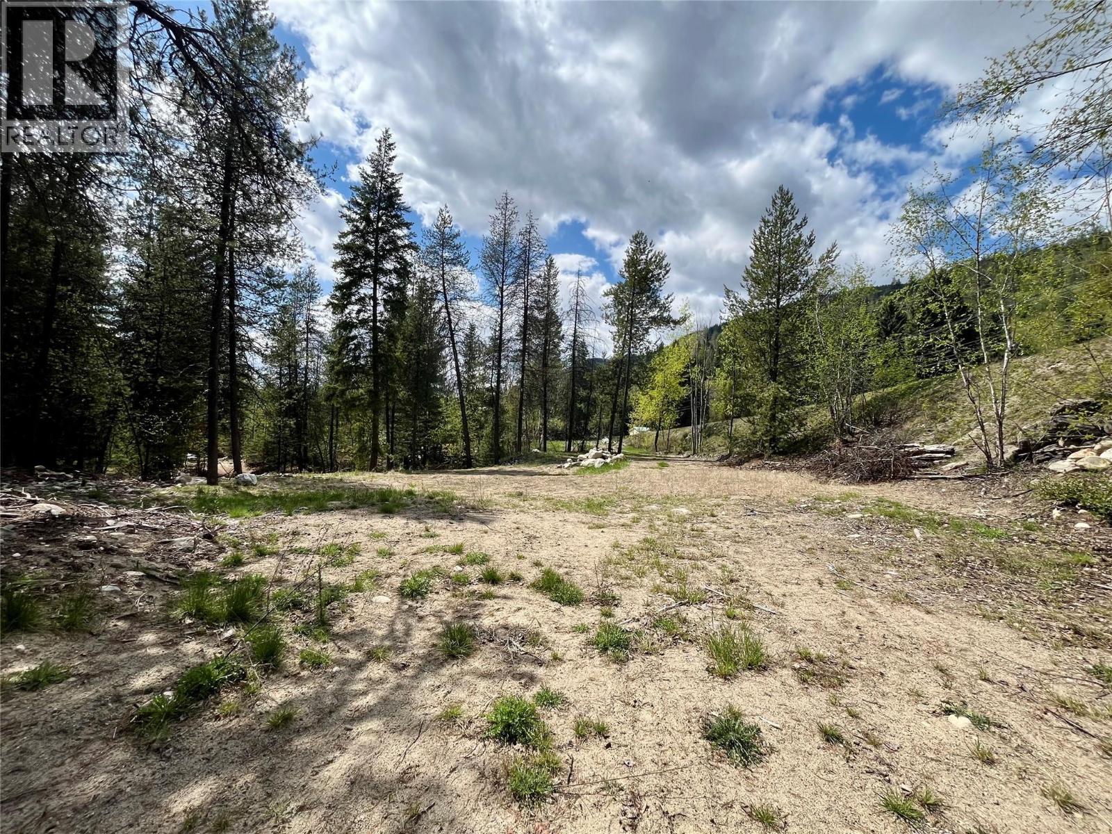 9100 Highway 22 Highway, Genelle, British Columbia  V0G 1G0 - Photo 11 - 10374759