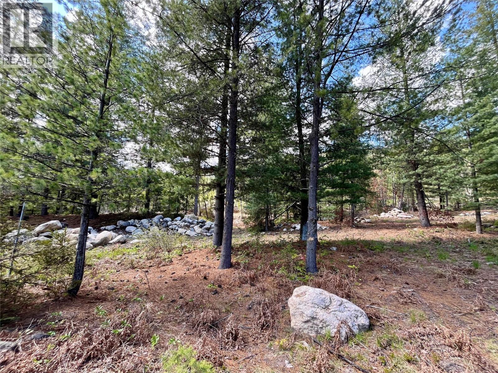 9100 Highway 22 Highway, Genelle, British Columbia  V0G 1G0 - Photo 20 - 10374759