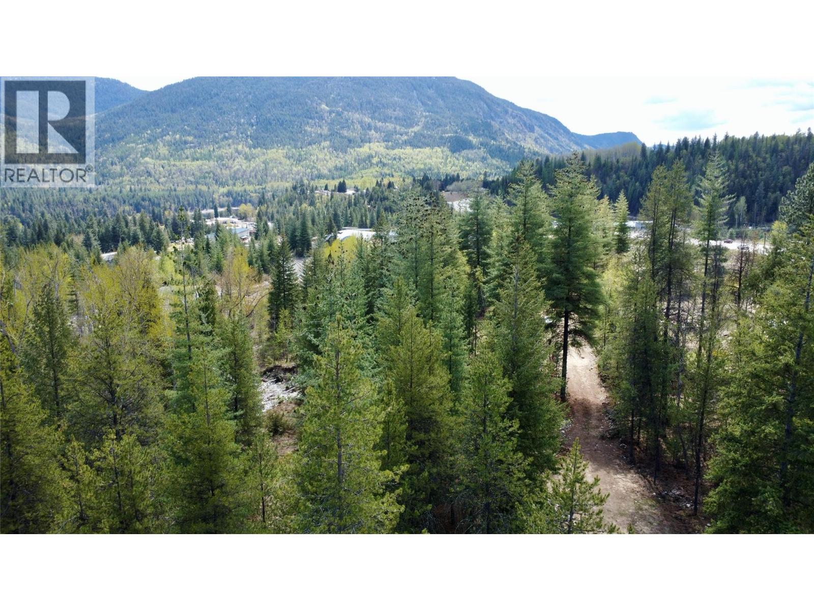 9100 Highway 22 Highway, Genelle, British Columbia  V0G 1G0 - Photo 6 - 10374759