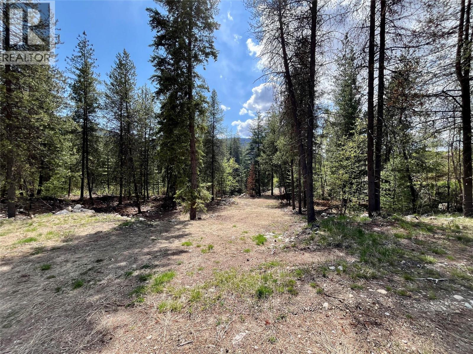 9100 Highway 22 Highway, Genelle, British Columbia  V0G 1G0 - Photo 16 - 10374759