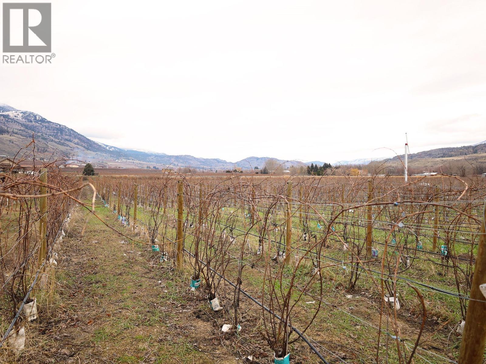 4253 Highway 97 Highway, Oliver, British Columbia  V0H 1T1 - Photo 28 - 10372304