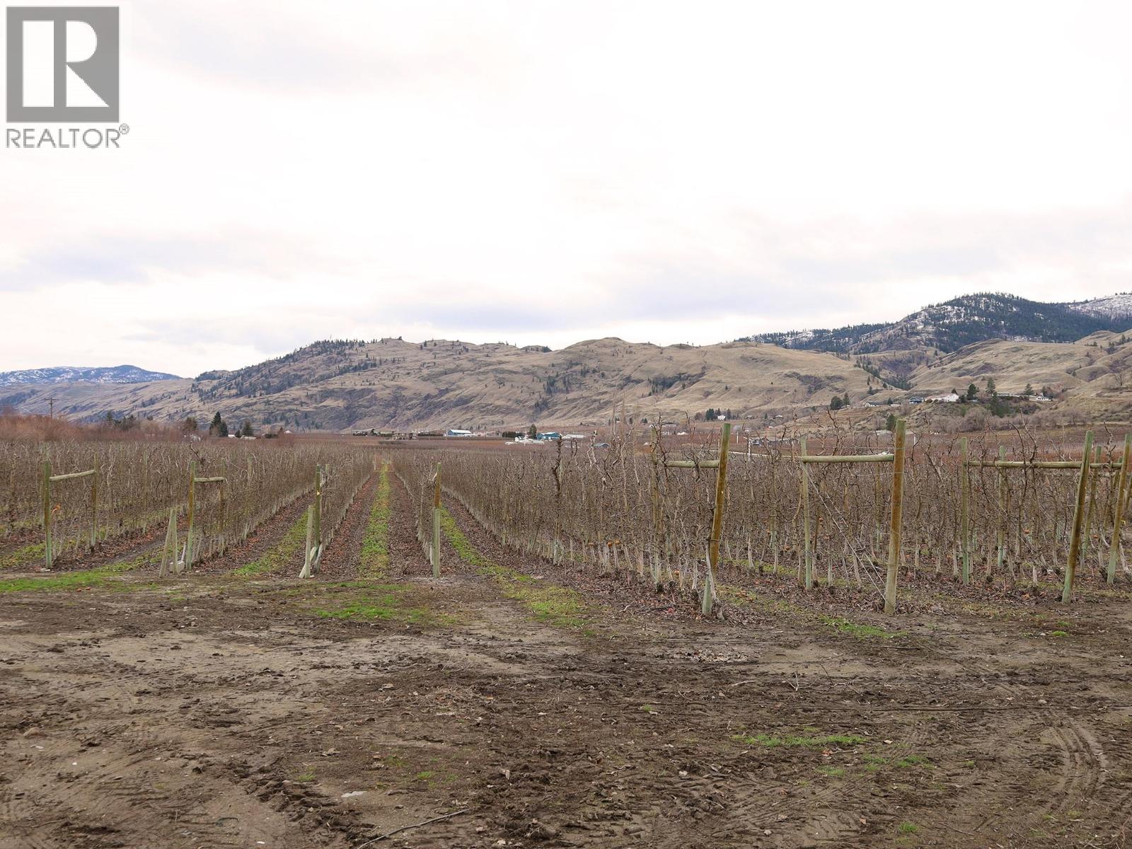 301 Road 12 Road, Oliver, British Columbia  V0H 1T1 - Photo 18 - 10373242