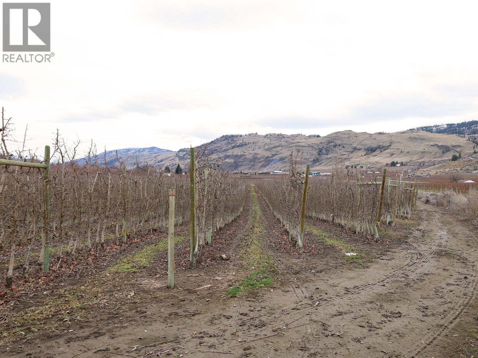 301 Road 12 Road, Oliver, British Columbia  V0H 1T1 - Photo 21 - 10373242